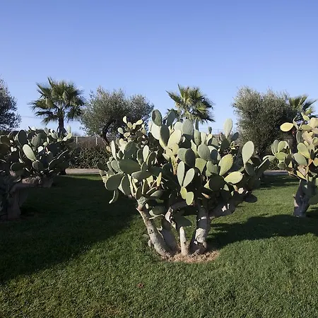 酒店 莱切艺术和公园酒店 4*