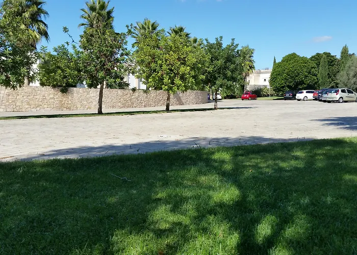 Otel Arthotel & Park