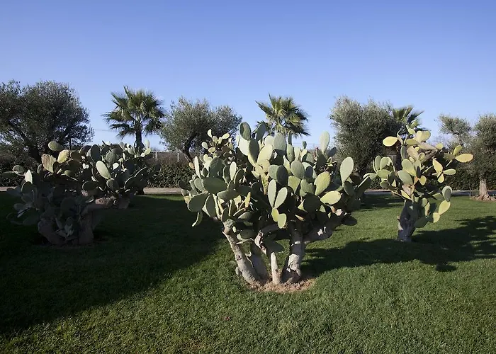 Szálloda Arthotel & Park 4*